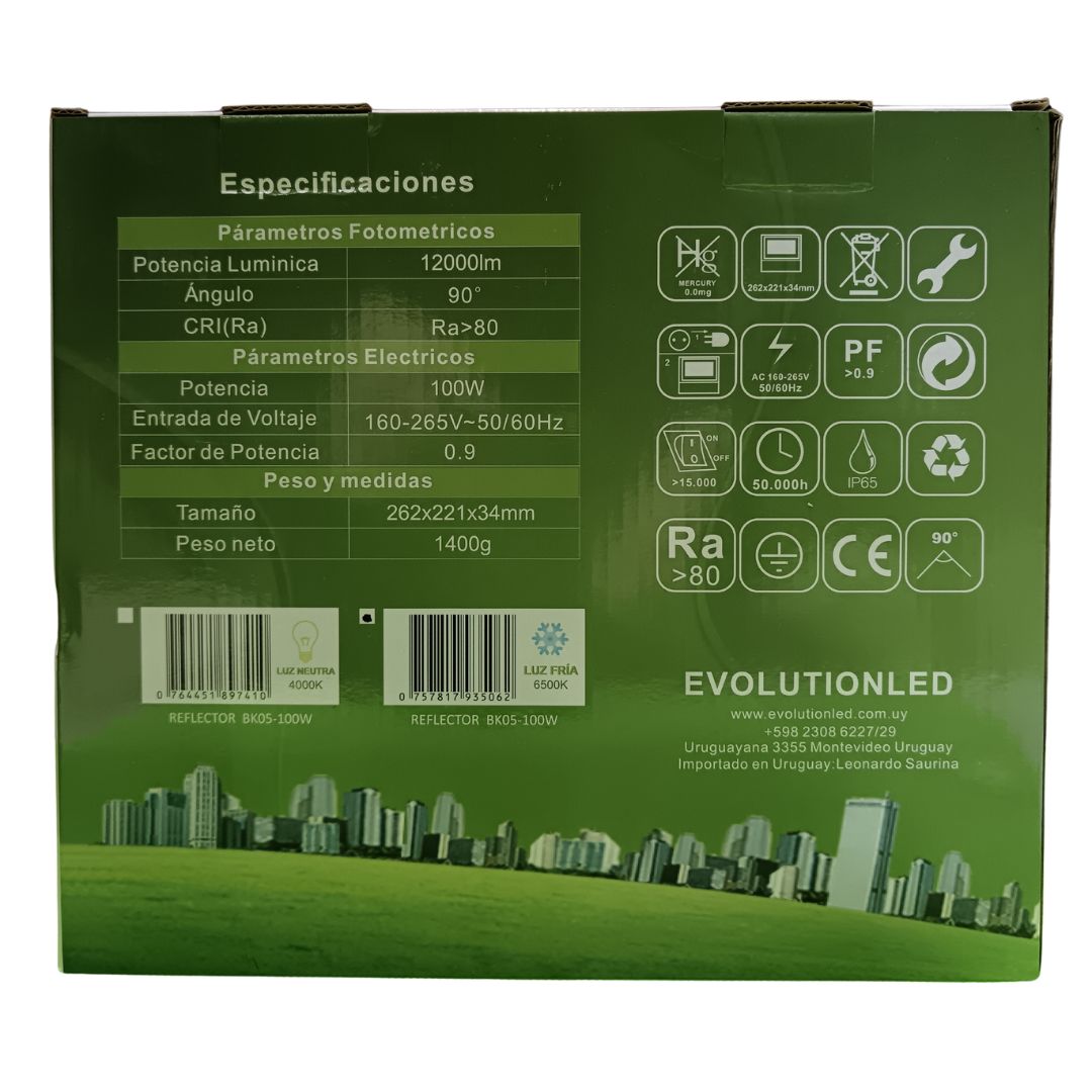 Reflector Led  100w  BK-05 LUZ FRIA