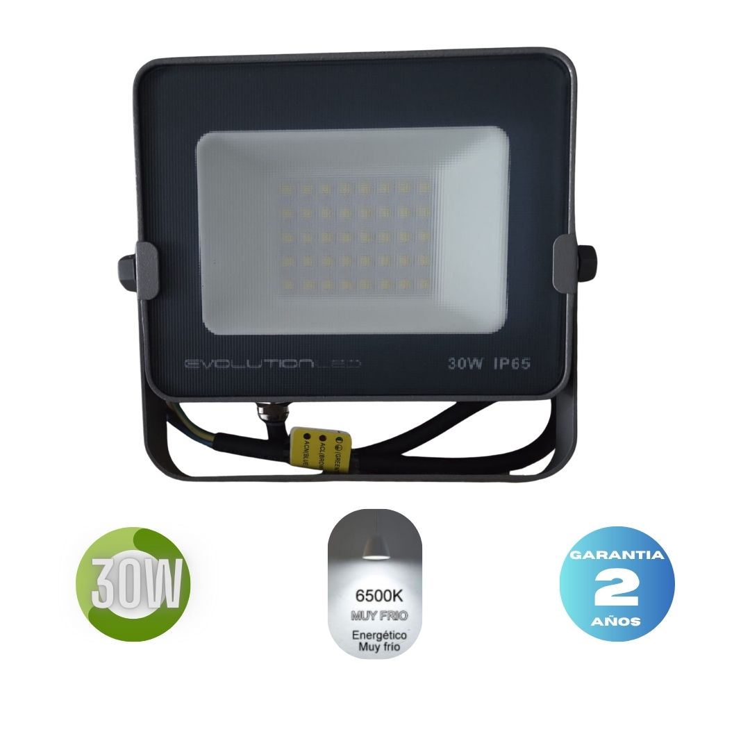 Reflector Led  30w  AK LUZ FRIA