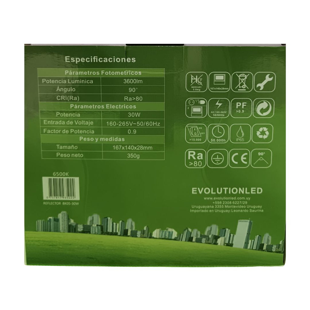 Reflector Led  30w  BK-05 LUZ FRIA